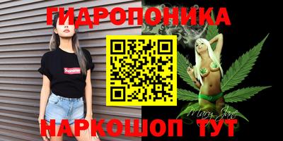 apvp Кандалакша