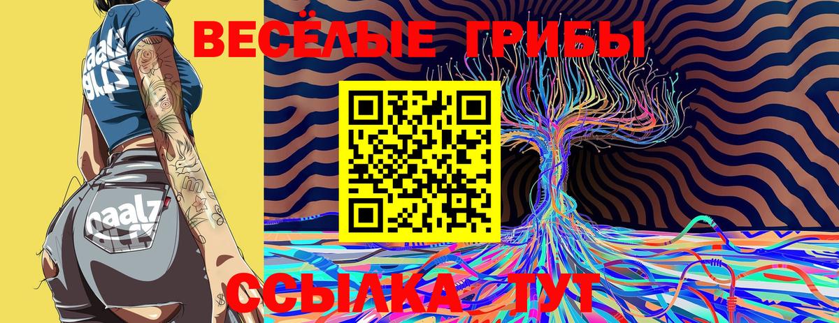 Светлоград  Псилоцибиновые грибы Psilocybe  Вход с VPN  Псилоцибиновые грибы MAGIC MUSHROOMS 
